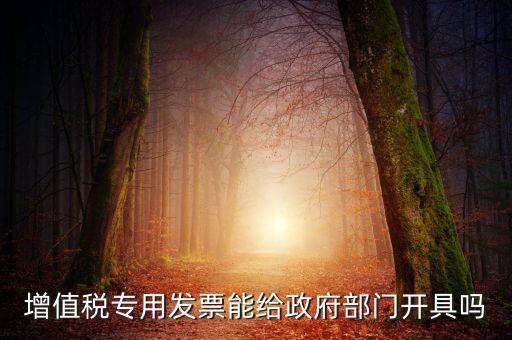 什么內(nèi)容的發(fā)票不可以給政府部門，增值稅專用發(fā)票能給政府部門開具嗎