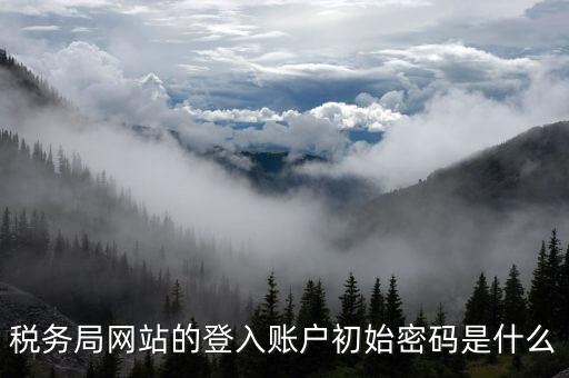 廣東國(guó)稅網(wǎng)登錄密碼是什么意思，稅務(wù)局網(wǎng)站的登入賬戶初始密碼是什么