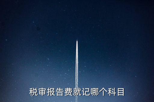 稅審費(fèi)計(jì)入什么科目，稅審費(fèi)屬于哪個科目