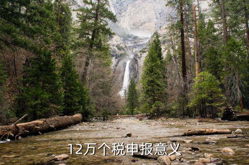 12萬(wàn)為什么個(gè)稅申報(bào)表，12萬(wàn)以上個(gè)人所得稅申報(bào)是什么意思