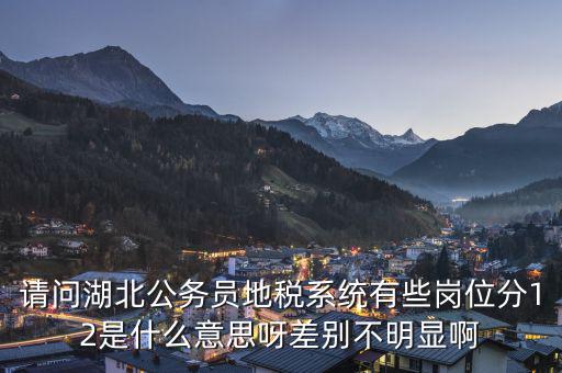 地稅上線是什么意思，0801國稅地稅啥意思