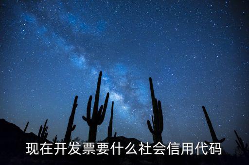 發(fā)票的社會(huì)信用代碼是什么意思，現(xiàn)在開發(fā)票要的社會(huì)信用代碼是誰(shuí)的代碼