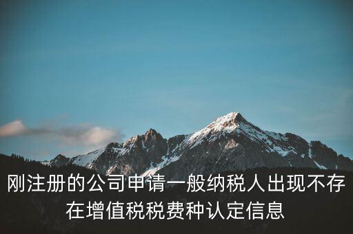 剛注冊的公司申請一般納稅人出現不存在增值稅稅費種認定信息