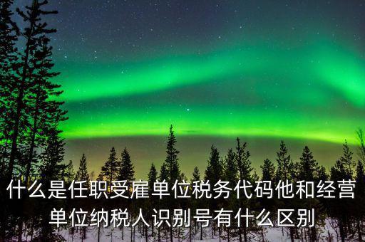 報(bào)稅自然人識(shí)別號(hào)是什么，個(gè)稅申報(bào)顯示存在相同唯一識(shí)別號(hào)是什么意思
