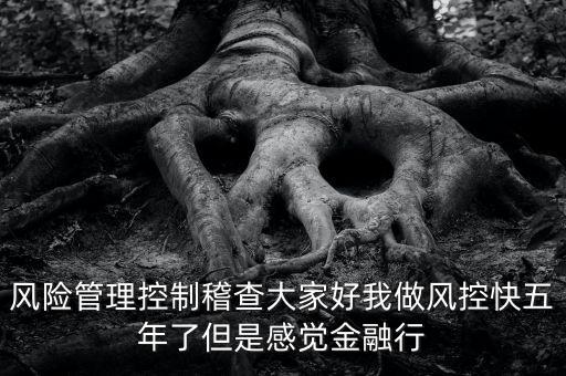 稽查風(fēng)險管控是什么意思，股票中1風(fēng)險提示 違規(guī)稽查是什么意思