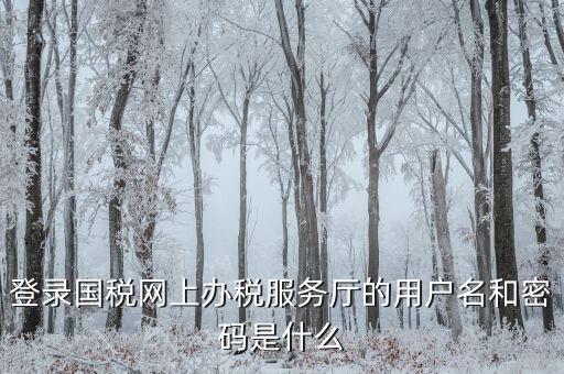 什么是電子稅務(wù)局登錄賬號(hào)，登錄國(guó)稅網(wǎng)上辦稅服務(wù)廳的用戶名和密碼是什么