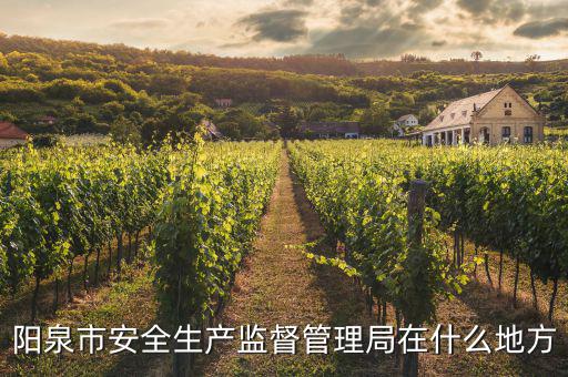 陽泉市安全生產監(jiān)督管理局在什么地方
