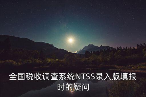 全國(guó)稅收調(diào)查系統(tǒng)NTSS錄入版填報(bào)時(shí)的疑問