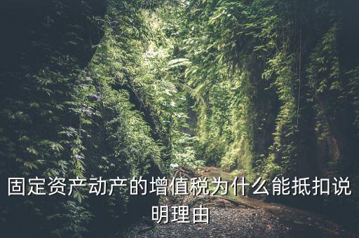 為什么用固定資產(chǎn)抵稅，固定資產(chǎn)抵稅問題