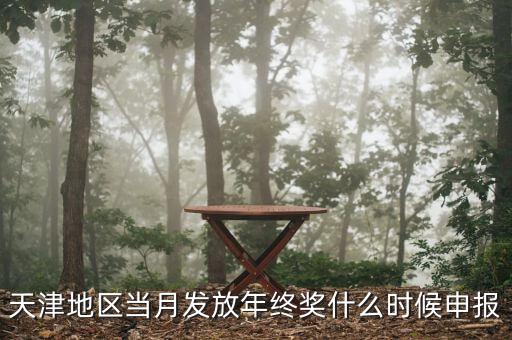 天津地區(qū)當(dāng)月發(fā)放年終獎什么時(shí)候申報(bào)
