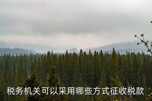 稅務(wù)局按什么征收稅務(wù)，稅務(wù)機(jī)關(guān)可以采用哪些方式征收稅款