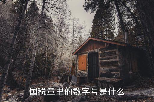 發(fā)票章中間數(shù)字是什么，國(guó)稅章里的數(shù)字號(hào)是什么