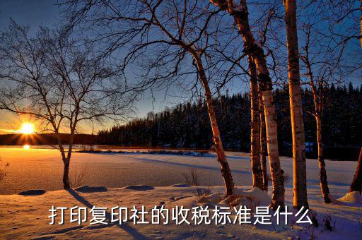打字復(fù)印交什么稅，打印復(fù)印社的收稅標(biāo)準(zhǔn)是什么