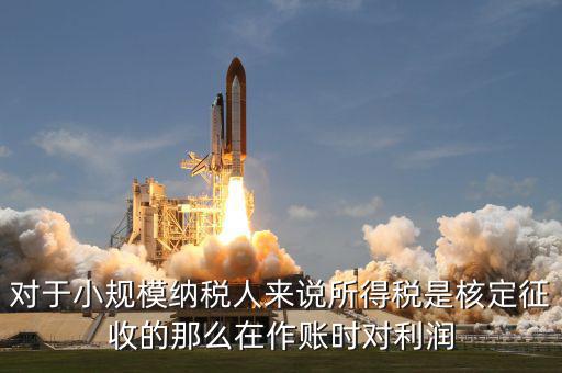 核定征收 有什么利，我不知道核定征收與查賬征收那個對公司有利些