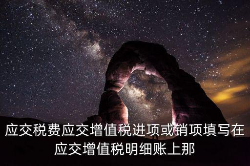 扣繳稅款登記填什么稅，在個人所得稅代扣代繳軟件中所要填寫的稅務(wù)登記號是填國稅的還是地