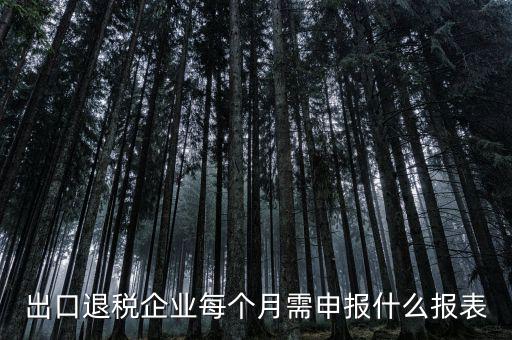 出口退稅每月需做什么申報，外貿(mào)企業(yè)第一次申報出口退稅需要準(zhǔn)備哪些資料