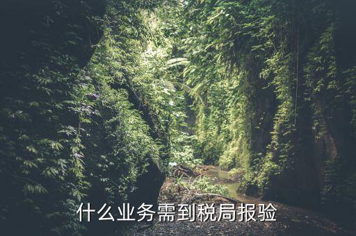 什么是稅務(wù)報驗(yàn)，地稅發(fā)票報驗(yàn)是什么回事啊 怎么報驗(yàn)什么時候報驗(yàn)啊