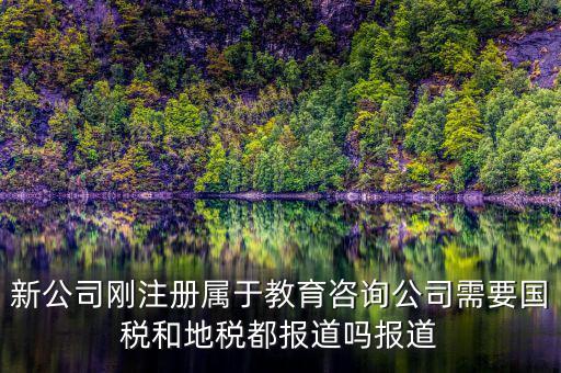 教育咨詢納什么稅，請(qǐng)問(wèn)從教育事業(yè)的公司要納稅嗎