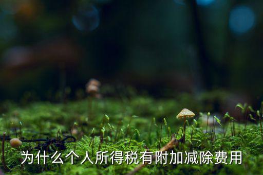 個(gè)稅減除費(fèi)用是什么，個(gè)人所得稅費(fèi)用扣除什么意思