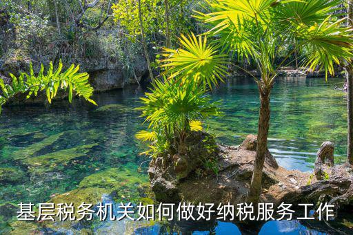 納稅服務(wù)是指什么，納稅服務(wù)的三個主體是什么
