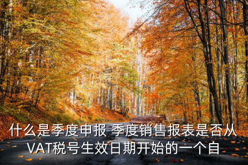 什么是季度申報表，有關(guān)企業(yè)申報的季度報表