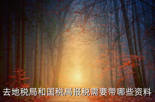 國稅報稅需要什么材料，去地稅局和國稅局報稅需要帶哪些資料