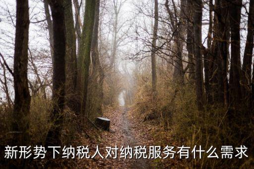納稅服務(wù)的要求是什么，新形勢下納稅人對納稅服務(wù)有什么需求