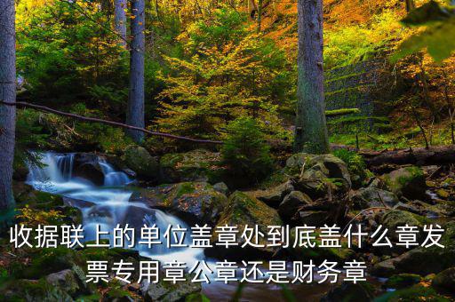 收據(jù)聯(lián)上的單位蓋章處到底蓋什么章發(fā)票專用章公章還是財務章