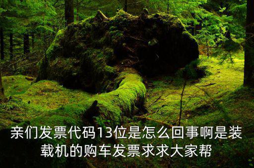 13的發(fā)票是什么發(fā)票，定額發(fā)票代碼上寫的是13 還可以用嗎