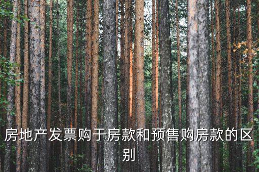房地產(chǎn)發(fā)票購于房款和預售購房款的區(qū)別