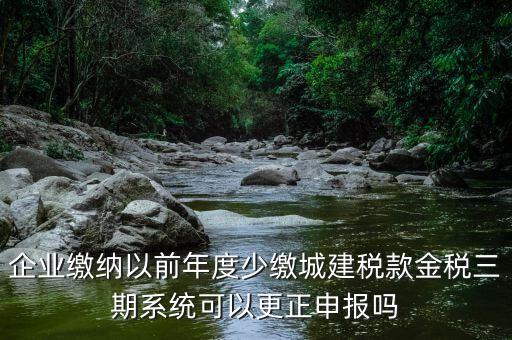 金稅三期更正申報需要什么資料，企業(yè)繳納以前年度少繳城建稅款金稅三期系統(tǒng)可以更正申報嗎