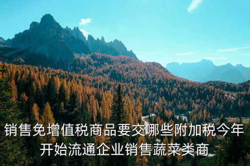 免稅商品銷售要交什么稅，銷售免增值稅商品要交哪些附加稅今年開始流通企業(yè)銷售蔬菜類商