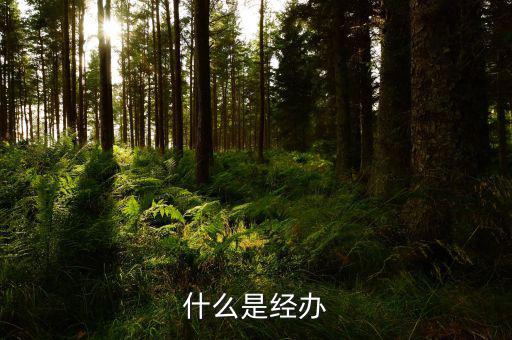 稅務(wù)文書經(jīng)辦是什么意思，什么是經(jīng)辦