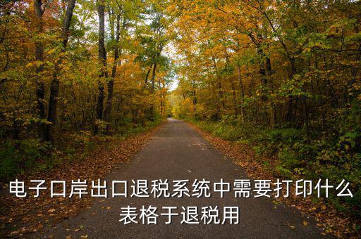 福建退稅備案的表格是什么樣的，出口退稅資格認定表
