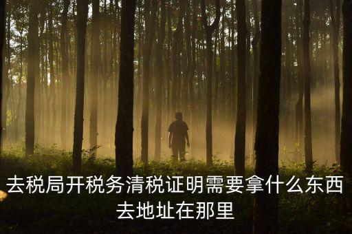 開清稅證明需要帶什么材料，各位親誰知道去國稅局開清稅證明需要帶什么