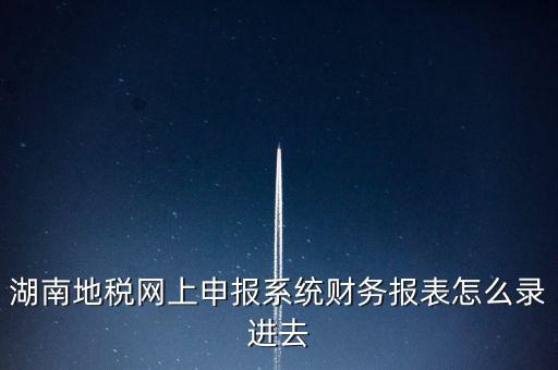 湖南地稅局用什么登錄，湖南地稅網上申報系統(tǒng)