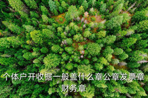個體戶的定額發(fā)票蓋什么章，個體戶的定額發(fā)票上蓋的個體戶章能用嗎