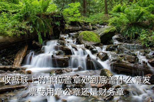 收據(jù)上面蓋什么章，收款收據(jù)上蓋什么章是財(cái)務(wù)章還是公章
