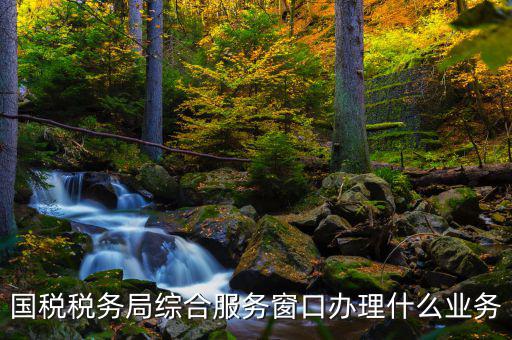 國稅大廳辦理什么業(yè)務(wù)，辦稅大廳都做些什么事