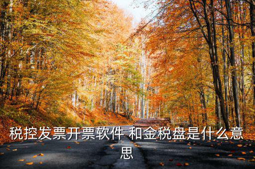 稅控發(fā)票開(kāi)票軟件 和金稅盤是什么意思