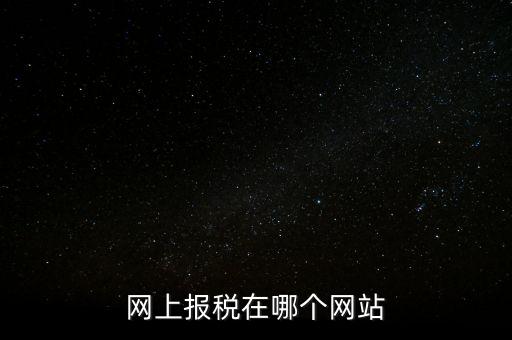 廣西網(wǎng)上辦稅的網(wǎng)址是什么意思，網(wǎng)上報(bào)稅在哪個網(wǎng)站