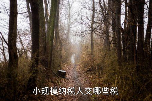 小規(guī)模都交什么稅，小規(guī)模納稅人要交什么稅