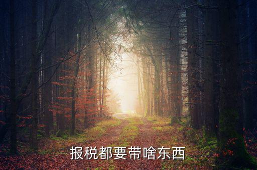 大連國稅局報(bào)稅帶什么東西，報(bào)稅都要帶啥東西