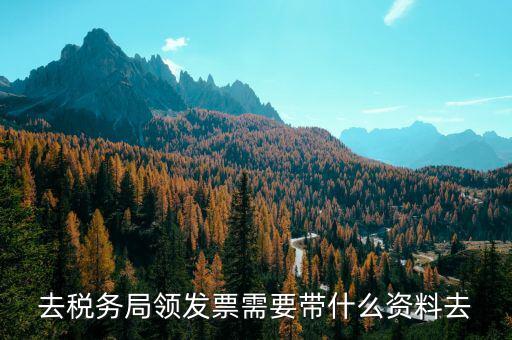 領(lǐng)定額發(fā)票需要帶什么，去稅務(wù)局領(lǐng)發(fā)票需要帶什么資料去