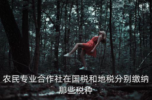 農(nóng)民專業(yè)合作社在國(guó)稅和地稅分別繳納那些稅種