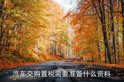 汽車交購置稅需要準(zhǔn)備什么資料