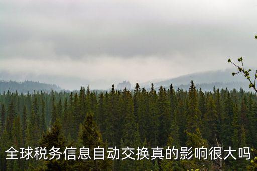 什么是稅務(wù)信息交換，全球稅務(wù)信息自動(dòng)交換真的影響很大嗎