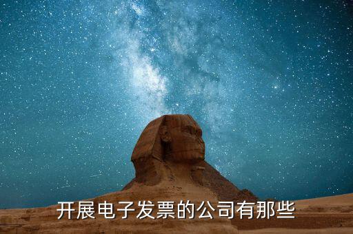 電子發(fā)票單位是什么，開(kāi)展電子發(fā)票的公司有那些