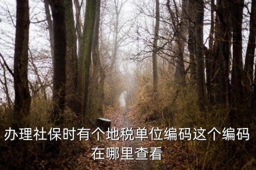 稅務(wù)局編號(hào)在什么位置，安康稅務(wù)機(jī)關(guān)地區(qū)編號(hào)在哪里