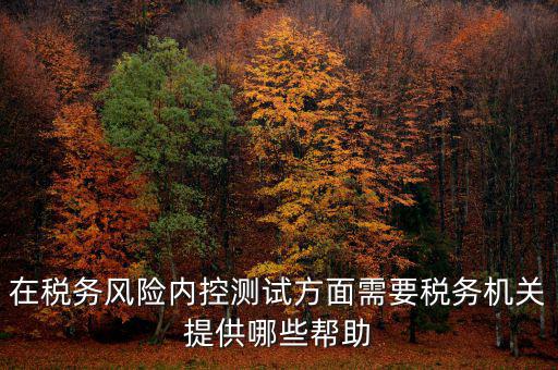 在稅務風險內(nèi)控測試方面需要稅務機關提供哪些幫助